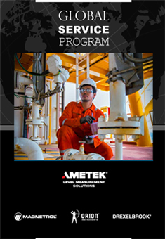 Global Service Program