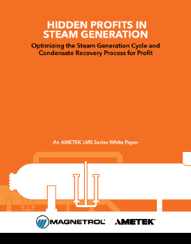 Hidden Profits in Steam Generation