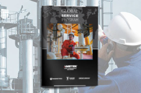 AMETEK LMS Global Service Program
